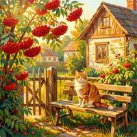 Деревенский кот